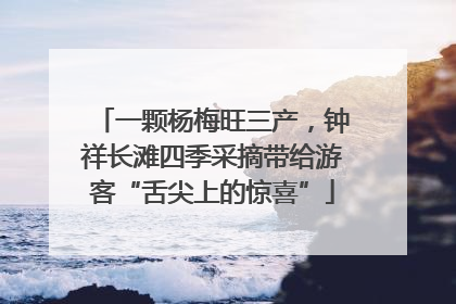 一颗杨梅旺三产，钟祥长滩四季采摘带给游客“舌尖上的惊喜”
