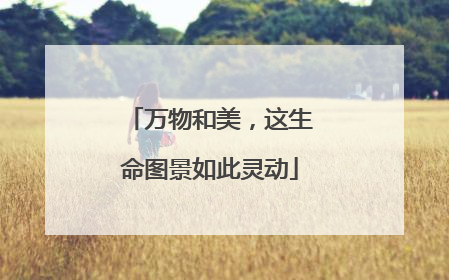 万物和美，这生命图景如此灵动