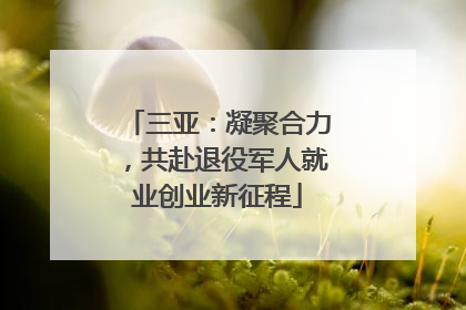 三亚：凝聚合力，共赴退役军人就业创业新征程