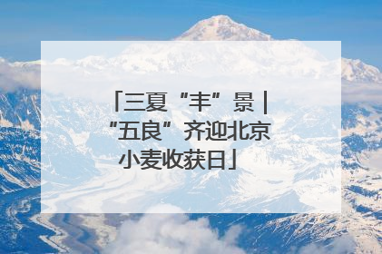 三夏“丰”景｜“五良”齐迎北京小麦收获日