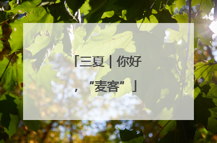 三夏｜你好，“麦客”