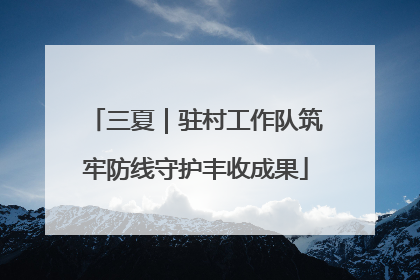 三夏｜驻村工作队筑牢防线守护丰收成果
