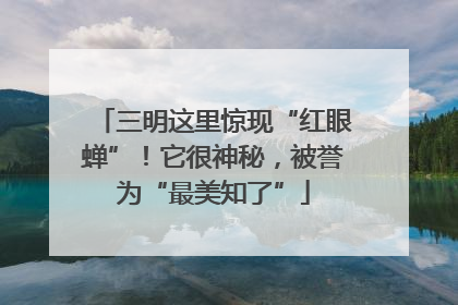 三明这里惊现“红眼蝉”！它很神秘，被誉为“最美知了”