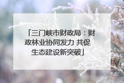 三门峡市财政局：财政林业协同发力 共促生态建设新突破