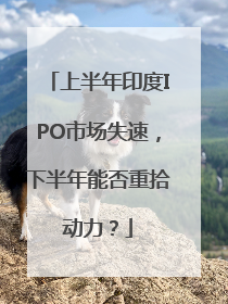 上半年印度IPO市场失速，下半年能否重拾动力？