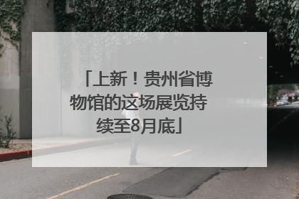 上新！贵州省博物馆的这场展览持续至8月底