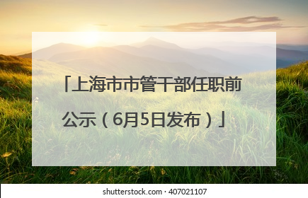 上海市市管干部任职前公示（6月5日发布）