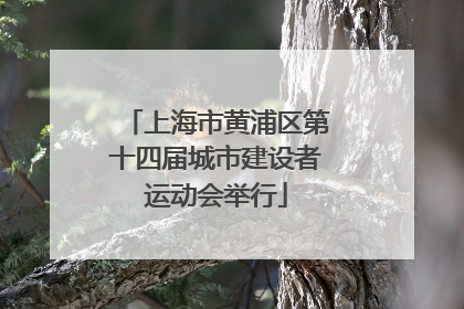 上海市黄浦区第十四届城市建设者运动会举行