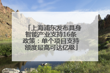 上海浦东发布具身智能产业支持16条政策：单个项目支持额度最高可达亿级