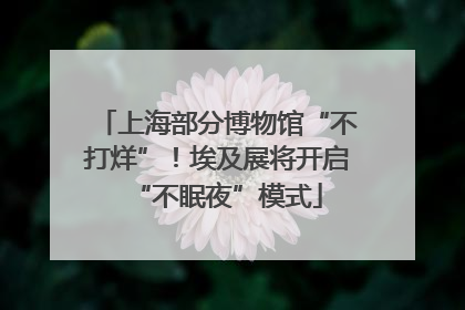 上海部分博物馆“不打烊”！埃及展将开启“不眠夜”模式