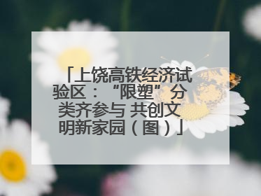 上饶高铁经济试验区：“限塑”分类齐参与 共创文明新家园（图）