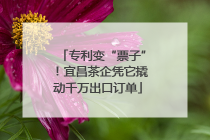 专利变“票子”！宜昌茶企凭它撬动千万出口订单