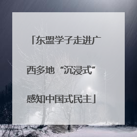 东盟学子走进广西多地“沉浸式”感知中国式民主