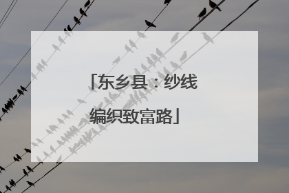 东乡县：纱线编织致富路