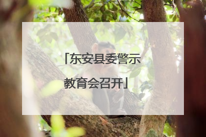 东安县委警示教育会召开