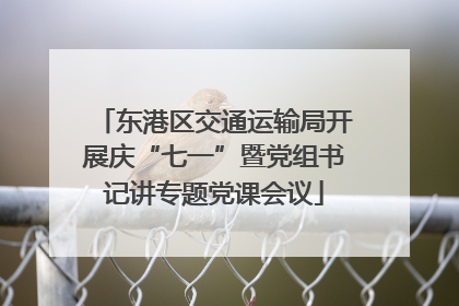 东港区交通运输局开展庆“七一”暨党组书记讲专题党课会议