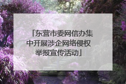 东营市委网信办集中开展涉企网络侵权举报宣传活动