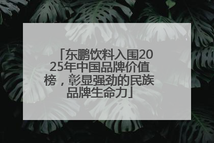 东鹏饮料入围2025年中国品牌价值榜，彰显强劲的民族品牌生命力