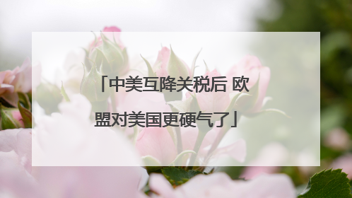 中美互降关税后 欧盟对美国更硬气了