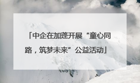 中企在加蓬开展“童心同路，筑梦未来”公益活动