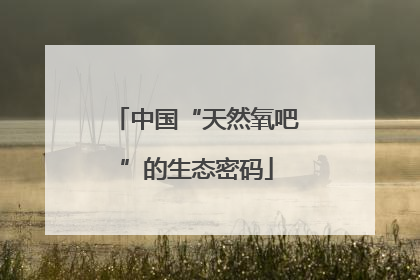 中国“天然氧吧”的生态密码