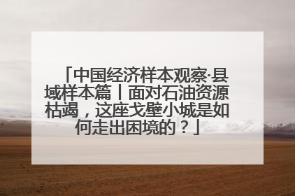 中国经济样本观察·县域样本篇丨面对石油资源枯竭，这座戈壁小城是如何走出困境的？