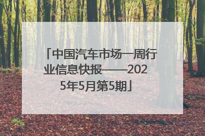 中国汽车市场一周行业信息快报——2025年5月第5期