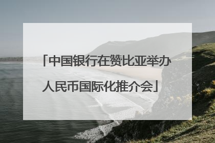 中国银行在赞比亚举办人民币国际化推介会