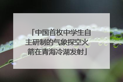 中国首枚中学生自主研制的气象探空火箭在青海冷湖发射