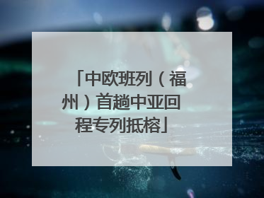 中欧班列（福州）首趟中亚回程专列抵榕