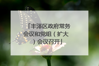 丰泽区政府常务会议和党组（扩大）会议召开