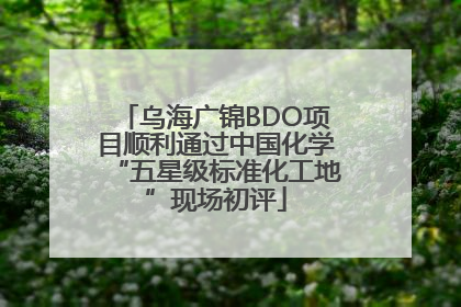 乌海广锦BDO项目顺利通过中国化学“五星级标准化工地”现场初评