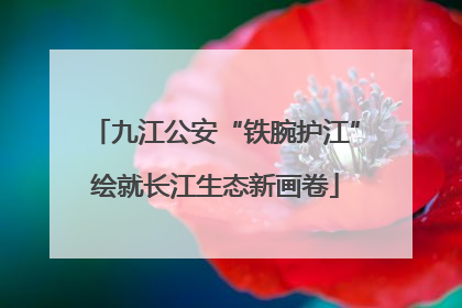 九江公安“铁腕护江”绘就长江生态新画卷