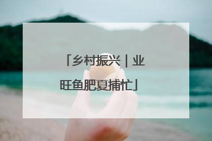 乡村振兴｜业旺鱼肥夏捕忙