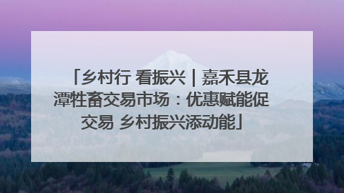乡村行 看振兴｜嘉禾县龙潭牲畜交易市场：优惠赋能促交易 乡村振兴添动能