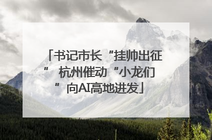 书记市长“挂帅出征” 杭州催动“小龙们”向AI高地进发