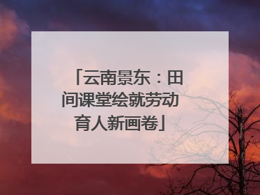 云南景东：田间课堂绘就劳动育人新画卷