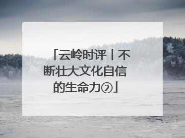 云岭时评丨不断壮大文化自信的生命力②