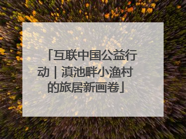 互联中国公益行动｜滇池畔小渔村的旅居新画卷