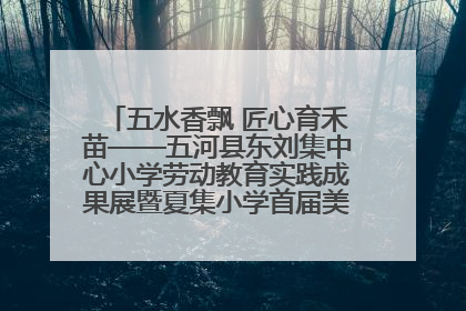 五水香飘 匠心育禾苗——五河县东刘集中心小学劳动教育实践成果展暨夏集小学首届美食节盛大举行