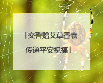 交警赠艾草香囊 传递平安祝福