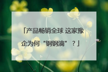 产品畅销全球 这家豫企为何“钢钢滴”？