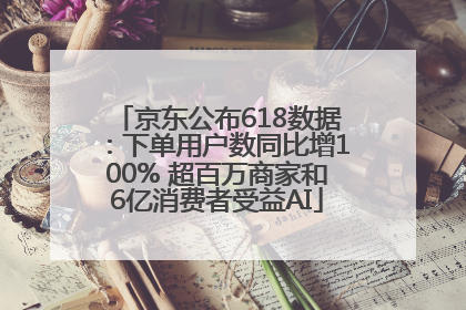 京东公布618数据：下单用户数同比增100% 超百万商家和6亿消费者受益AI