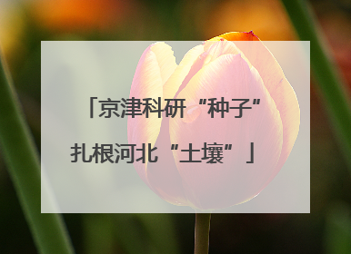 京津科研“种子”扎根河北“土壤”