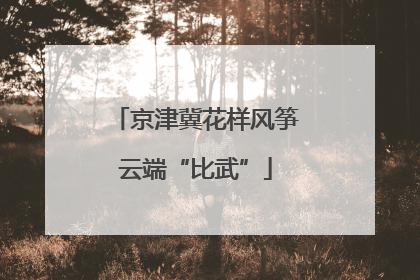 京津冀花样风筝云端“比武”