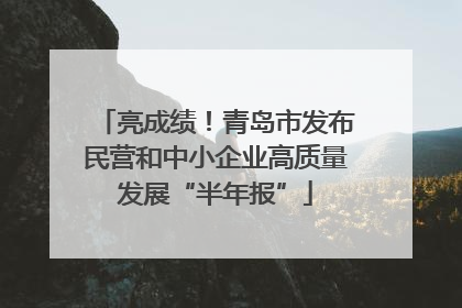 亮成绩！青岛市发布民营和中小企业高质量发展“半年报”