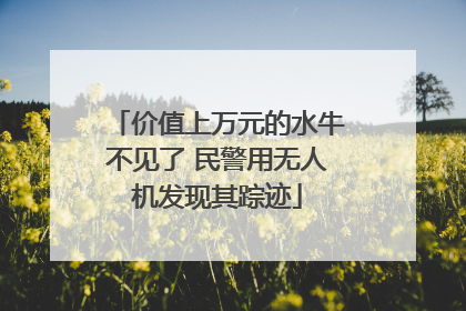 价值上万元的水牛不见了 民警用无人机发现其踪迹