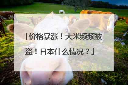 价格暴涨！大米频频被盗！日本什么情况？