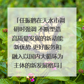 任振鹤在天水市调研时强调 不断塑造高质量发展的新动能新优势 更好服务和融入以国内大循环为主体的新发展格局