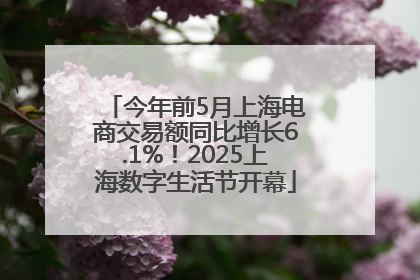 今年前5月上海电商交易额同比增长6.1%！2025上海数字生活节开幕